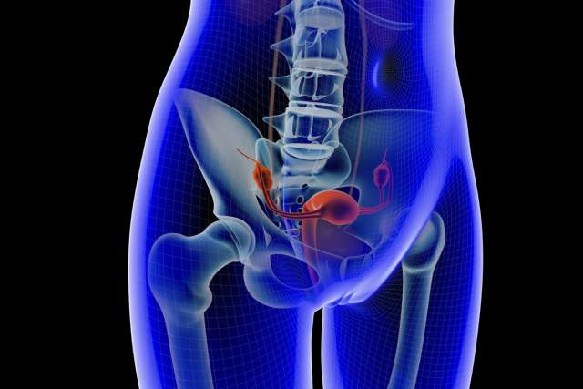 Understanding and Managing Pelvic Pain