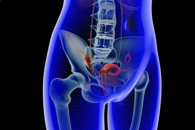 Can Prostate Cancer Be Cured